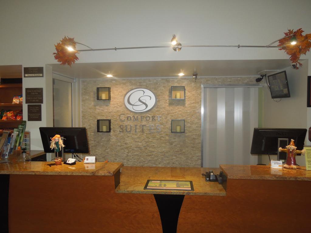 וולדורף Quality Suites מראה חיצוני תמונה
